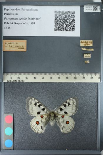 Media type: image;   Entomology 175232